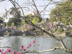 -无锡蠡湖国家湿地公园-蠡园