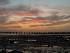 -宝安西湾红树林湿地公园