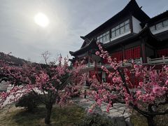 -威海华夏城景区
