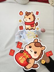 -玛瑞莎孕婴童摄影到家拍