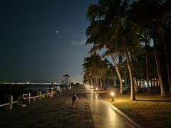-深圳湾公园(南山区)