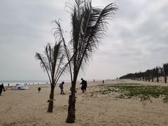 -东海岛旅游度假区