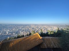 -兰山公园