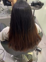 -东方麒麟·潘多拉SALON