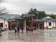 -九龙江国家森林公园