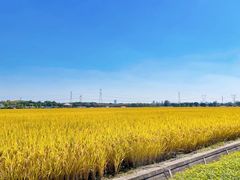 -侎宝运动成长中心(嘉定大融城店)