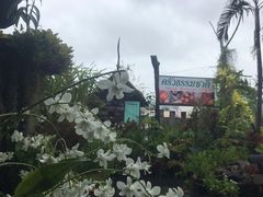 -自然餐厅(Phuket)