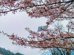 -崂山九水游览区