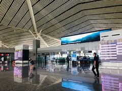 -张家界荷花国际机场航站楼-国内出发