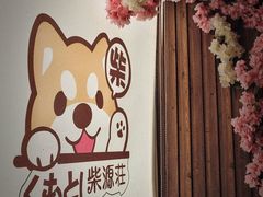 -柴源莊·柴小宠柴犬咖啡