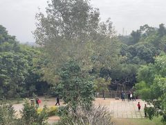 -草庵摩尼教遗址公园