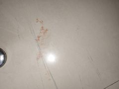 -佳怡动物医院·平价24小时·猫专科骨外科