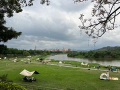 -风云岭森林公园