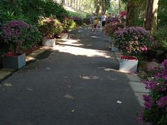 -广西壮族自治区药用植物园