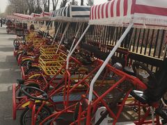 -永定河休闲森林公园