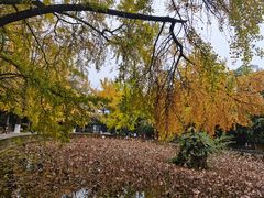 -四川大学(华西校区)