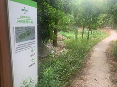 -练塘古镇
