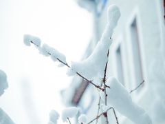 -威高民俗文化邨