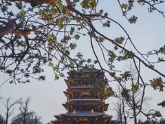 -济南大明湖景区