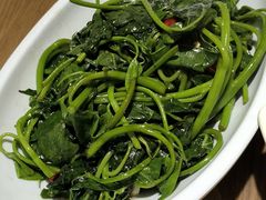 清炒红苕尖-张太婆老妈蹄花川菜馆·中华餐饮老字号(望平街店)