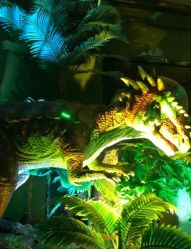 -恐龙探索乐园(磁器口店)