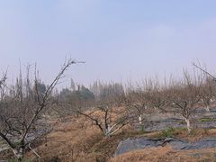 -桤木河湿地公园