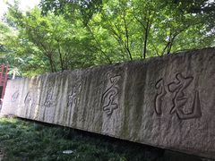 -黄桷坪涂鸦艺术街