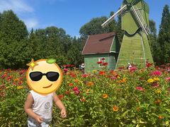 -石家庄市植物园