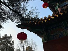 -洛阳白马寺