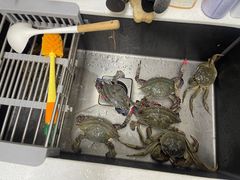 -何庄子阿米玛玛农产品批发市场