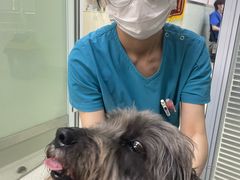 -美美宠物诊疗中心·异宠·骨科(滨江东信分院)