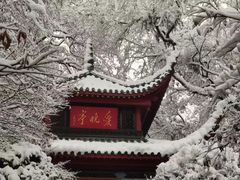 -Yan Ting宴庭中餐厅-长沙瑞吉酒店(运达店)