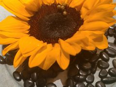 -王府茶楼茶宴·创意菜(朝阳公园店)
