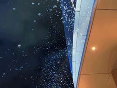 -交通银行前滩31演艺中心