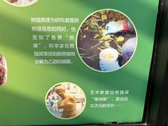 -成都动物园