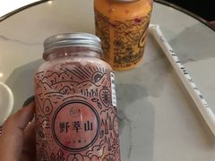 -野萃山·潮汕厚果汁(十亩地店)