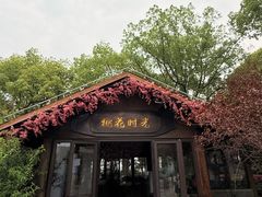 -金鸡湖桃花岛