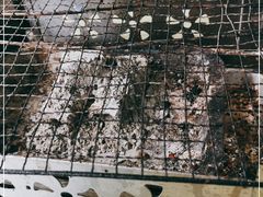 -杨婆婆烤肉(文昌阁店)