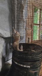 -Zoolung Zoolung动物主题公园(海信广场店)