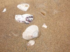 -青岛银沙滩温德姆至尊酒店