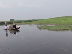 -黑龙江扎龙生态旅游区