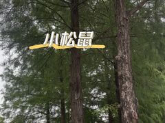 -深圳龙潭公园