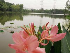 -昆山城市生态森林公园