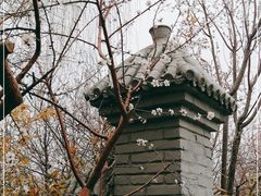 -桃花堤公园