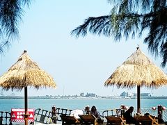 -北海金海湾红树林生态旅游区