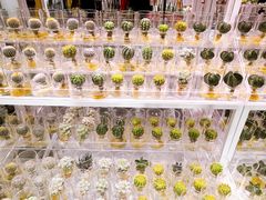 -KKV(深圳宏发大仟里店)