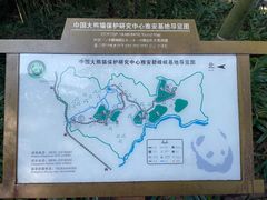 -中国大熊猫保护研究中心雅安碧峰峡基地