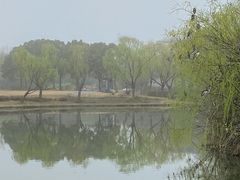 -新江湾城公园