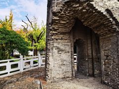 -上海佘山国家森林公园天马山园