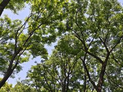 -昆山城市生态森林公园